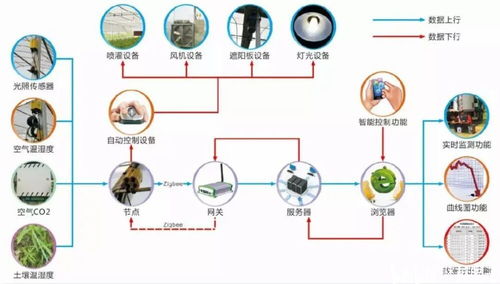 農業物聯網是什么 有哪些用于農業生產的